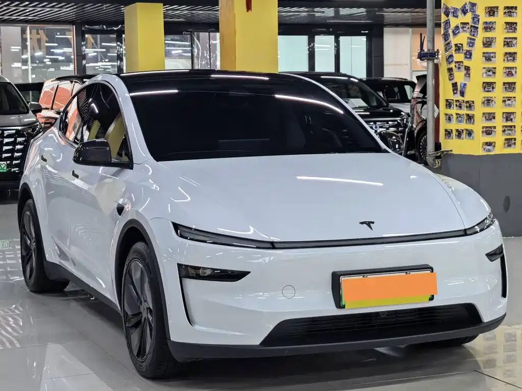Tesla Model Y — миниатюра 3
