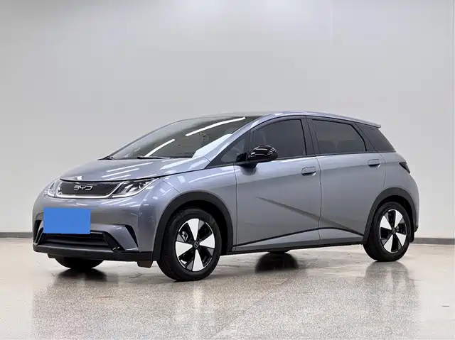2024 BYD Dolphin