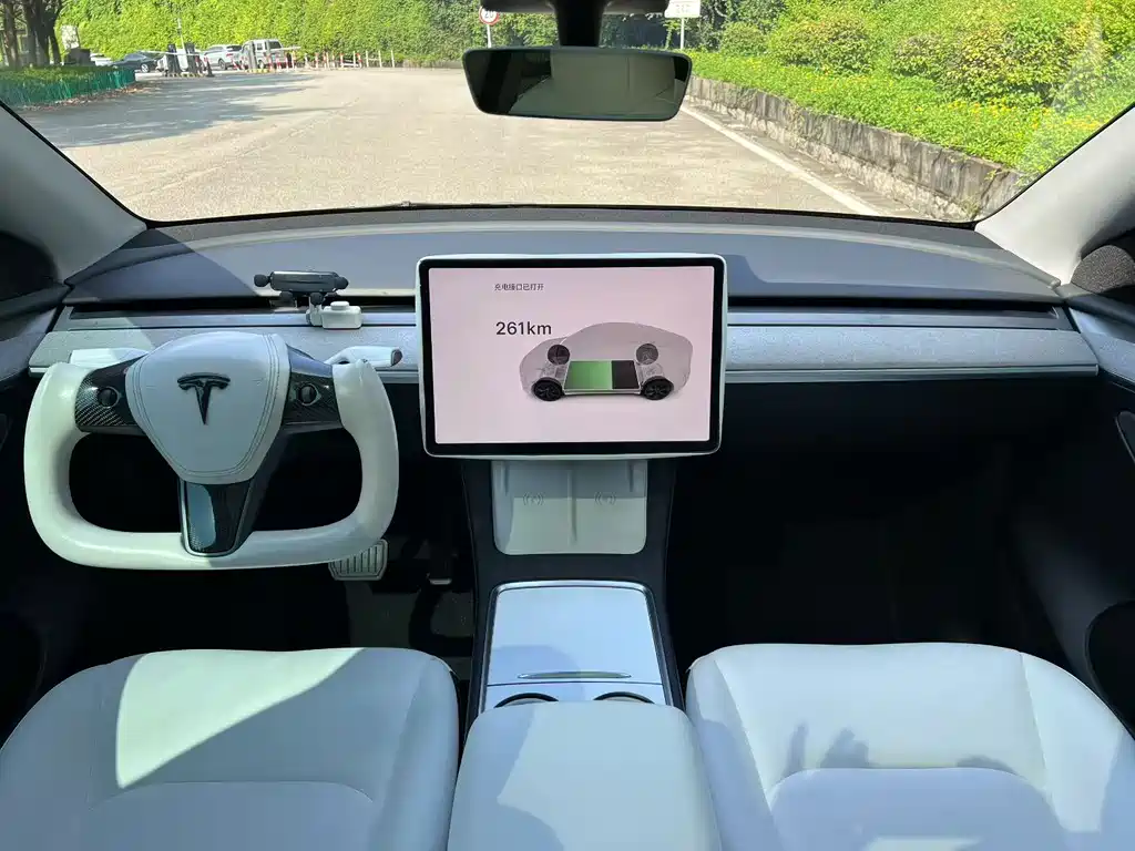 Tesla Model Y — миниатюра 5