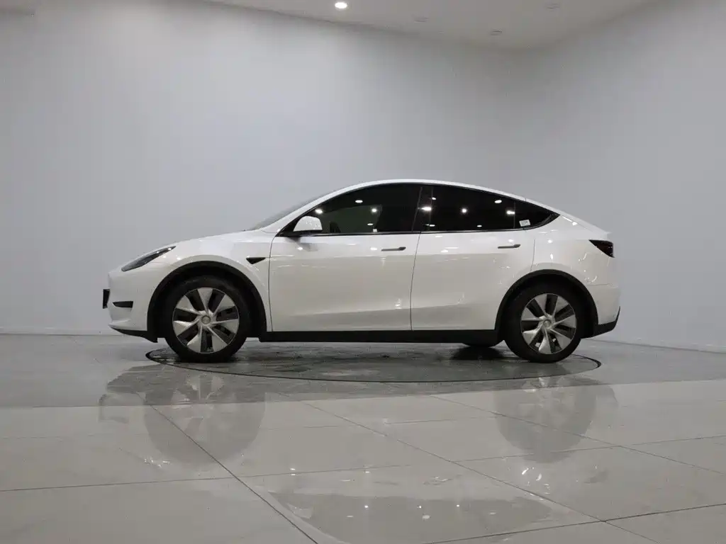 Tesla Model Y — миниатюра 8