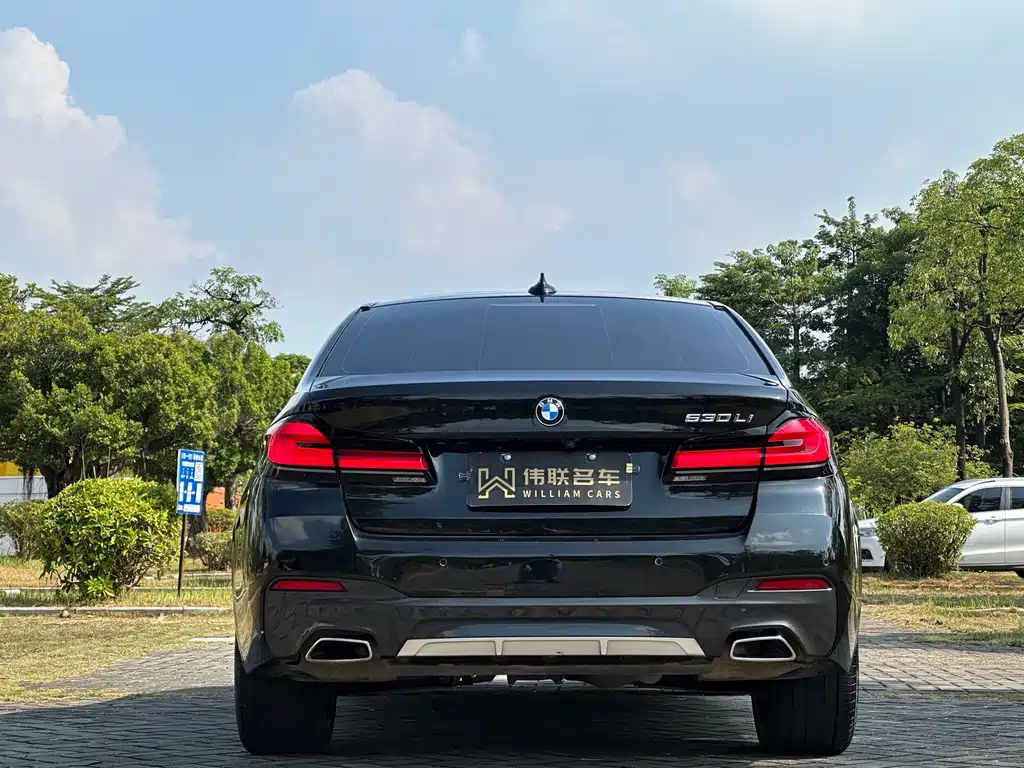 BMW 5 Series — миниатюра 5
