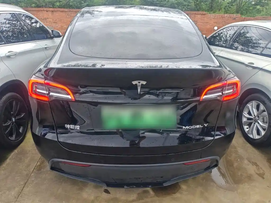 Tesla Model Y — миниатюра 6