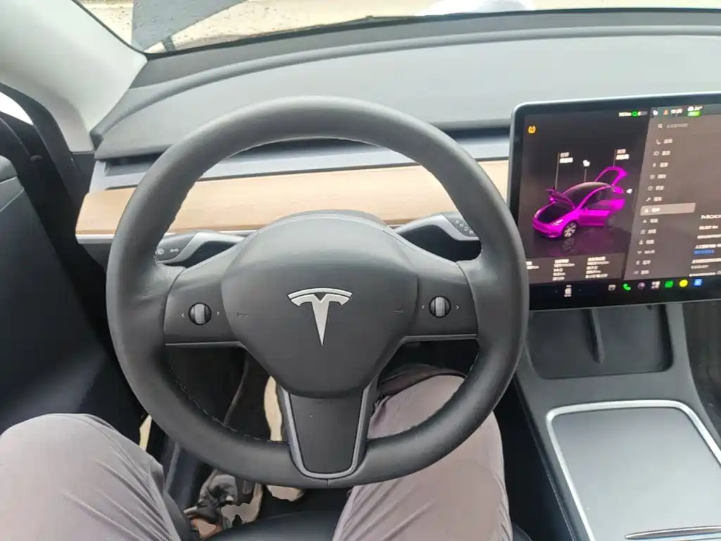 Tesla Model Y — миниатюра 11