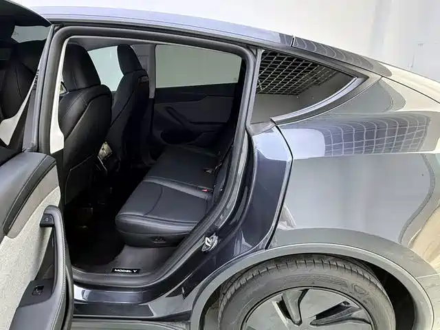 Tesla Model Y — миниатюра 9