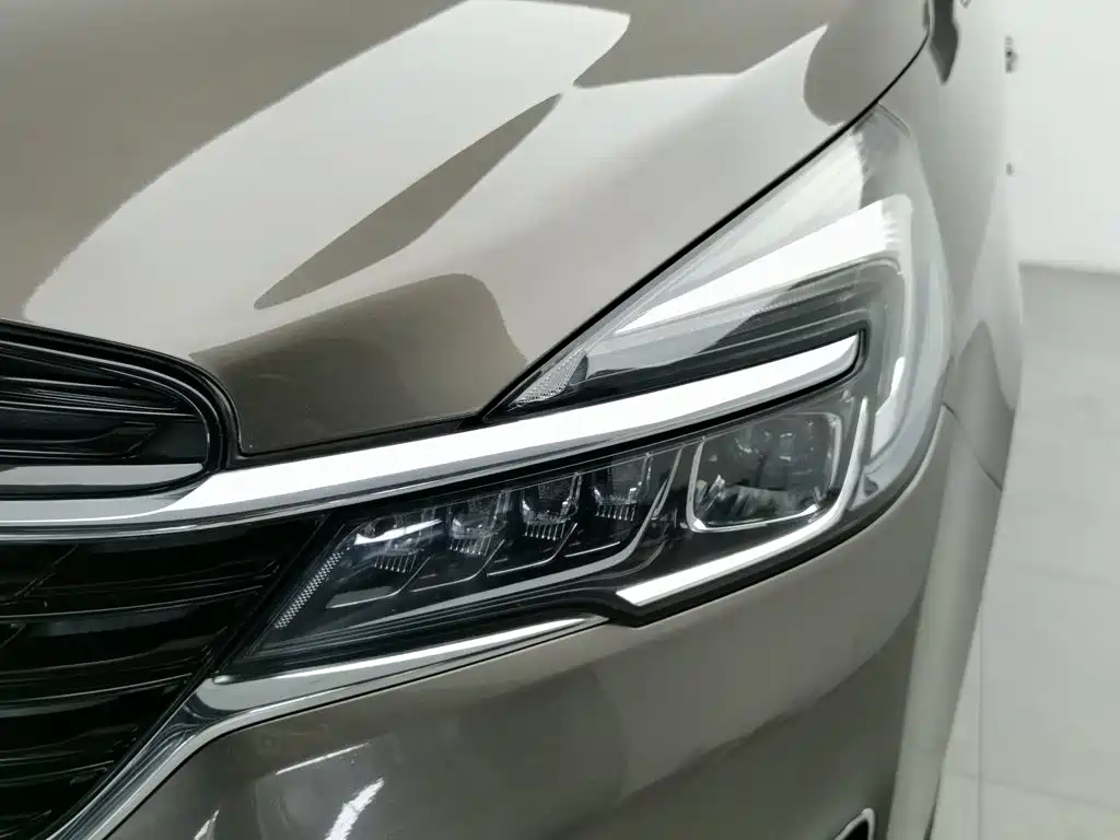 Buick GL8 — миниатюра 7