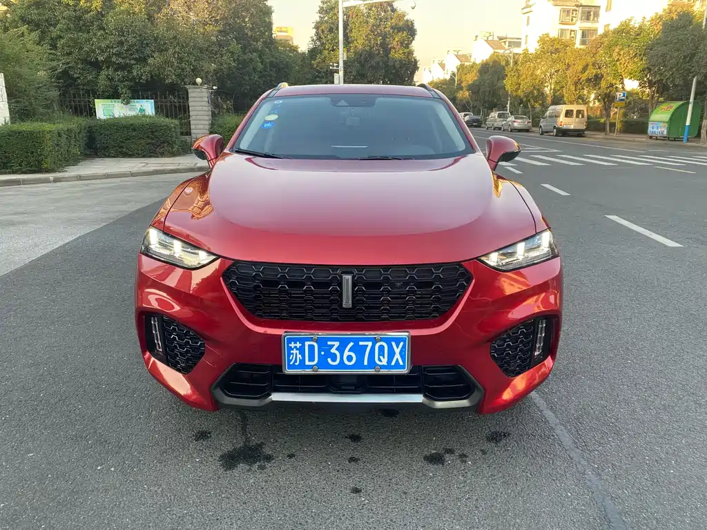 WEI PAI WEI BRAND VV7