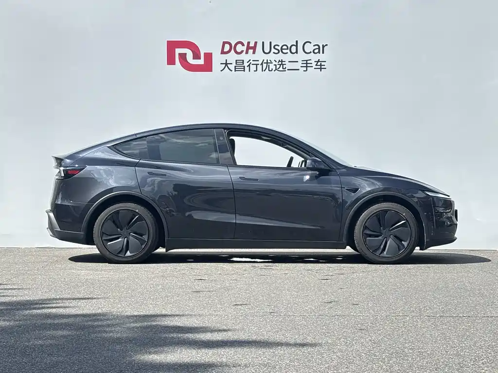 Tesla Model Y — миниатюра 3