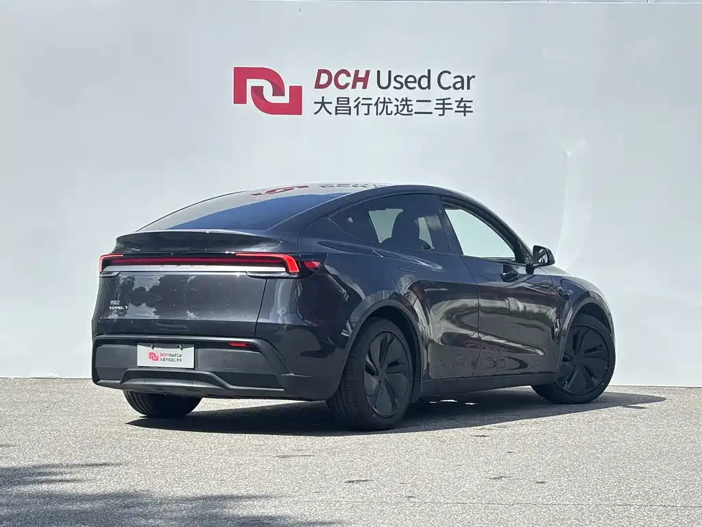 Tesla Model Y — миниатюра 5