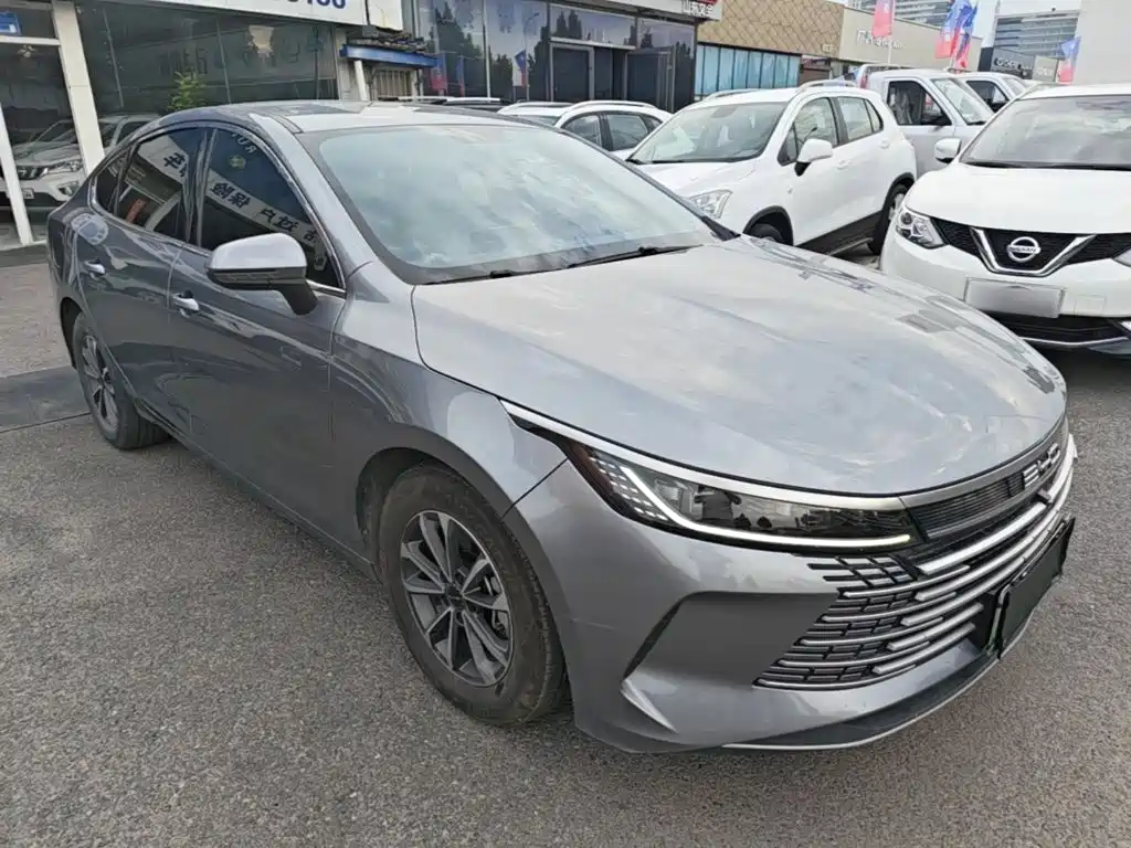BYD Destroyer 05 — миниатюра 4
