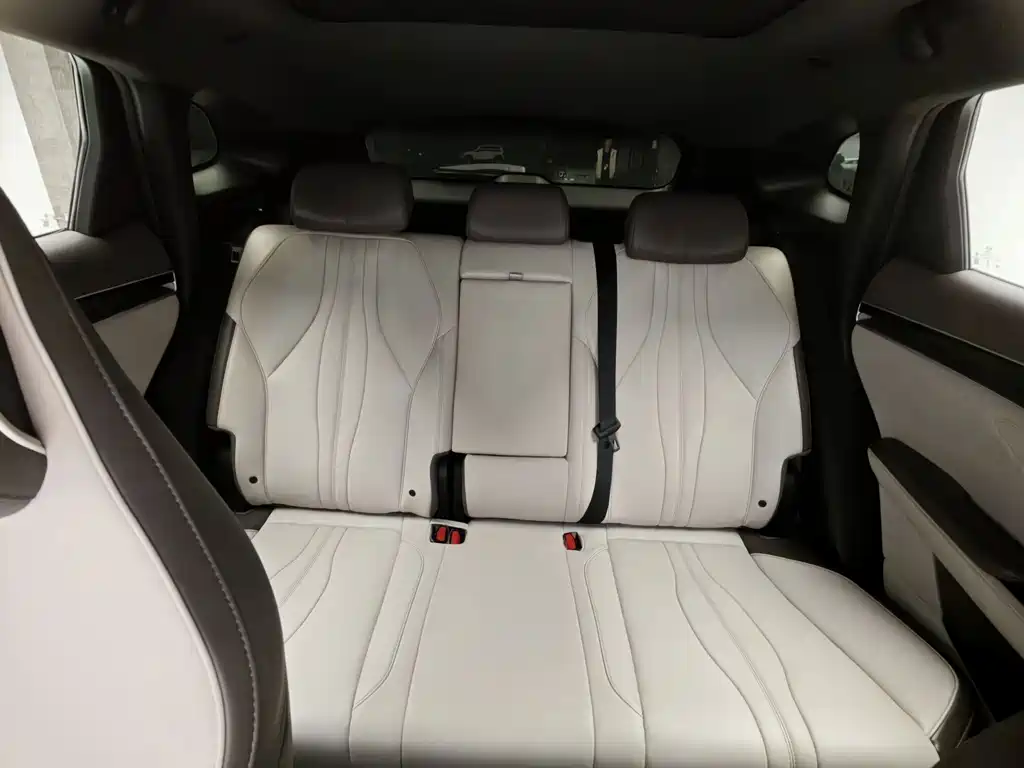 BYD PLUS New Energy — миниатюра 13