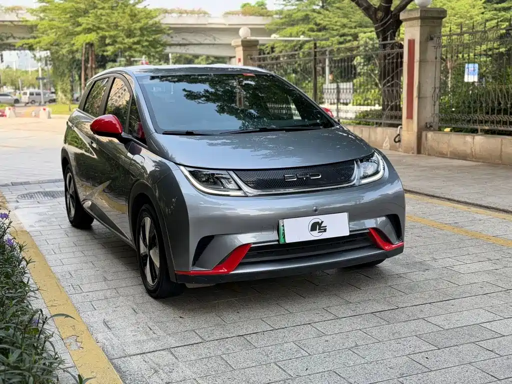 BYD Dolphin — миниатюра 3