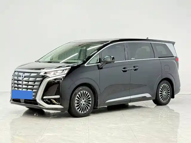 2023 Denza D9