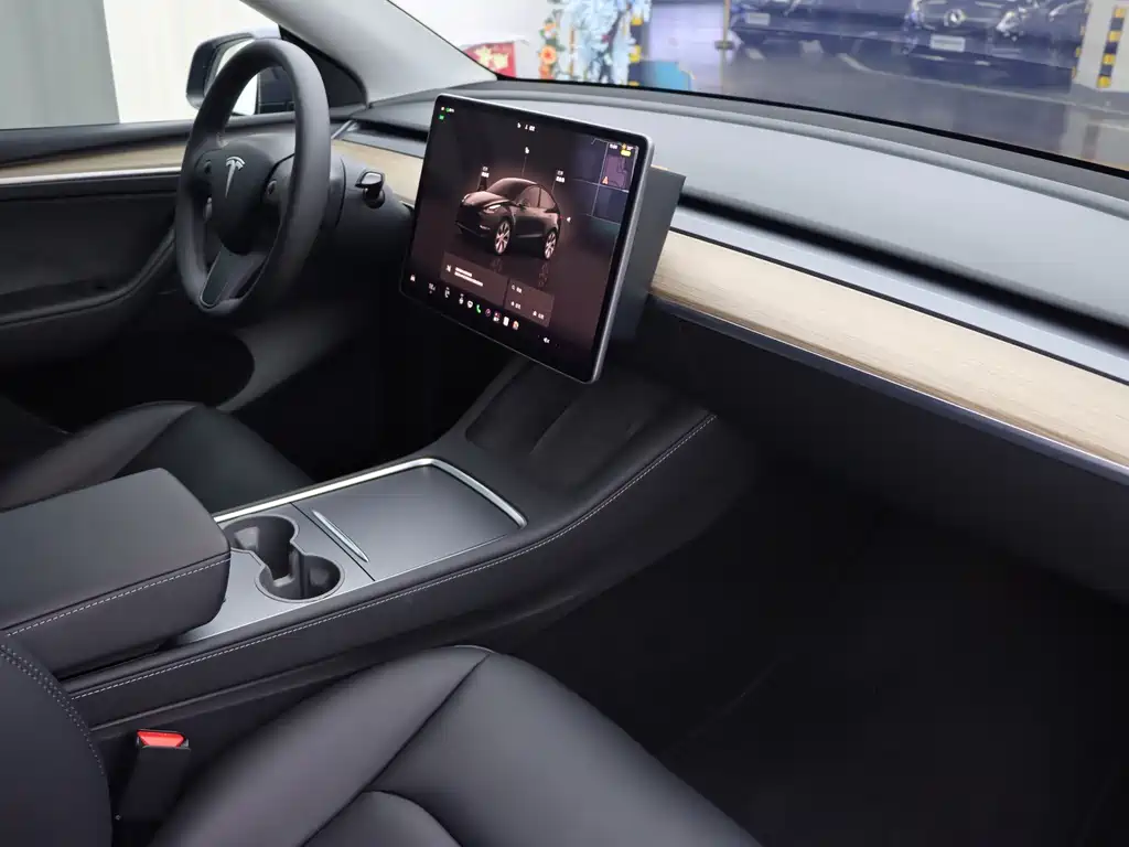 Tesla Model Y — миниатюра 9