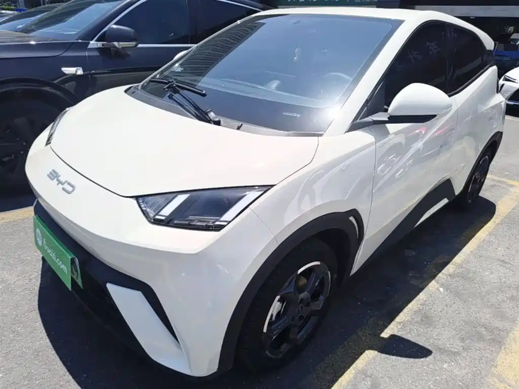 Byd Seagull 2024