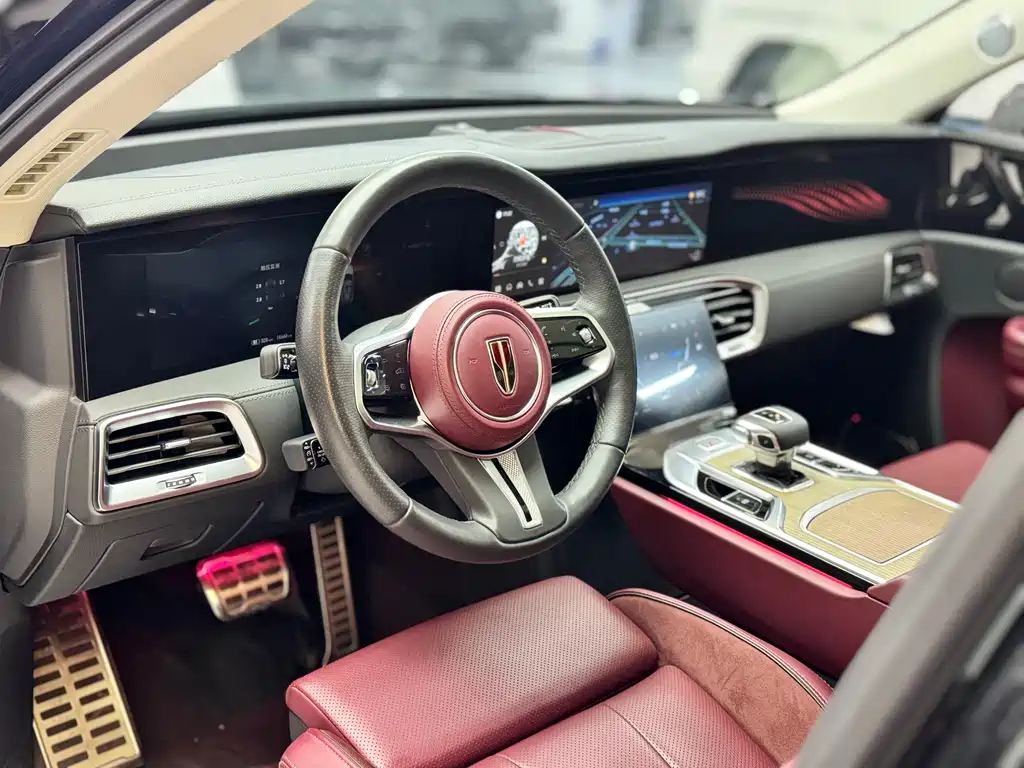Hongqi E-HS9 2022 690km мест