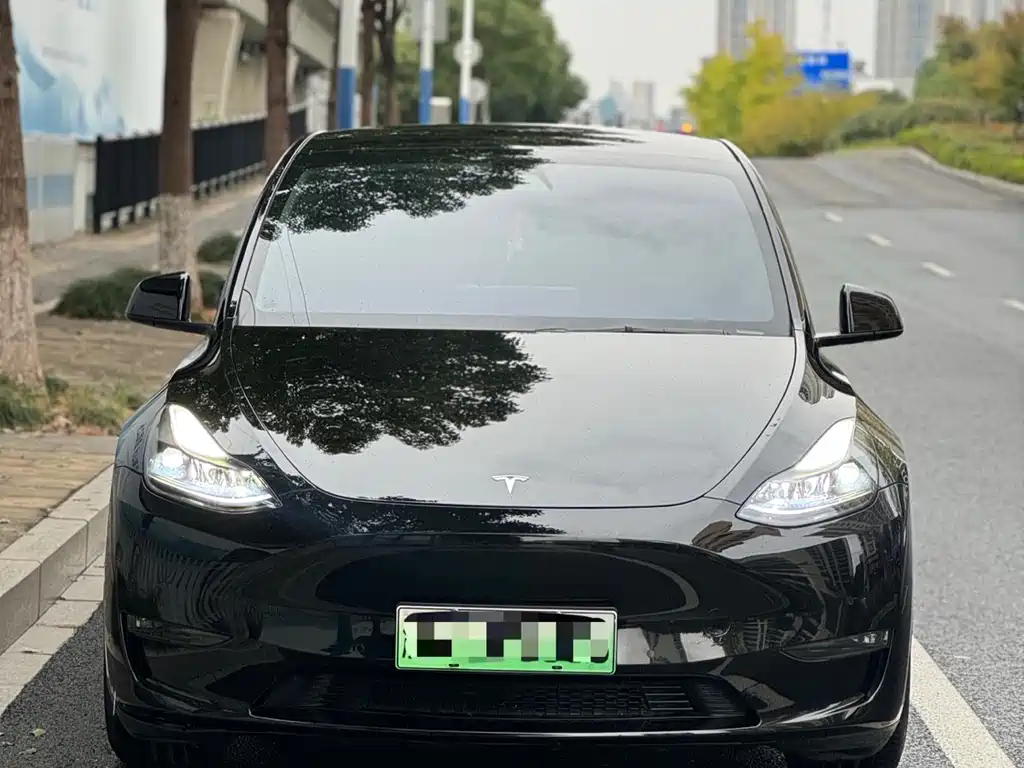 Tesla Model Y 2022 Performance