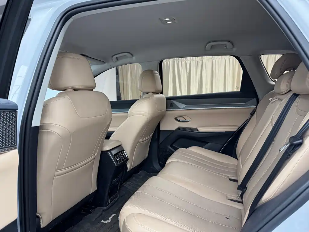 BYD Pro New Energy — миниатюра 10