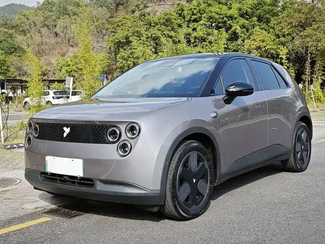 FIREFLY FIREFLY  2026