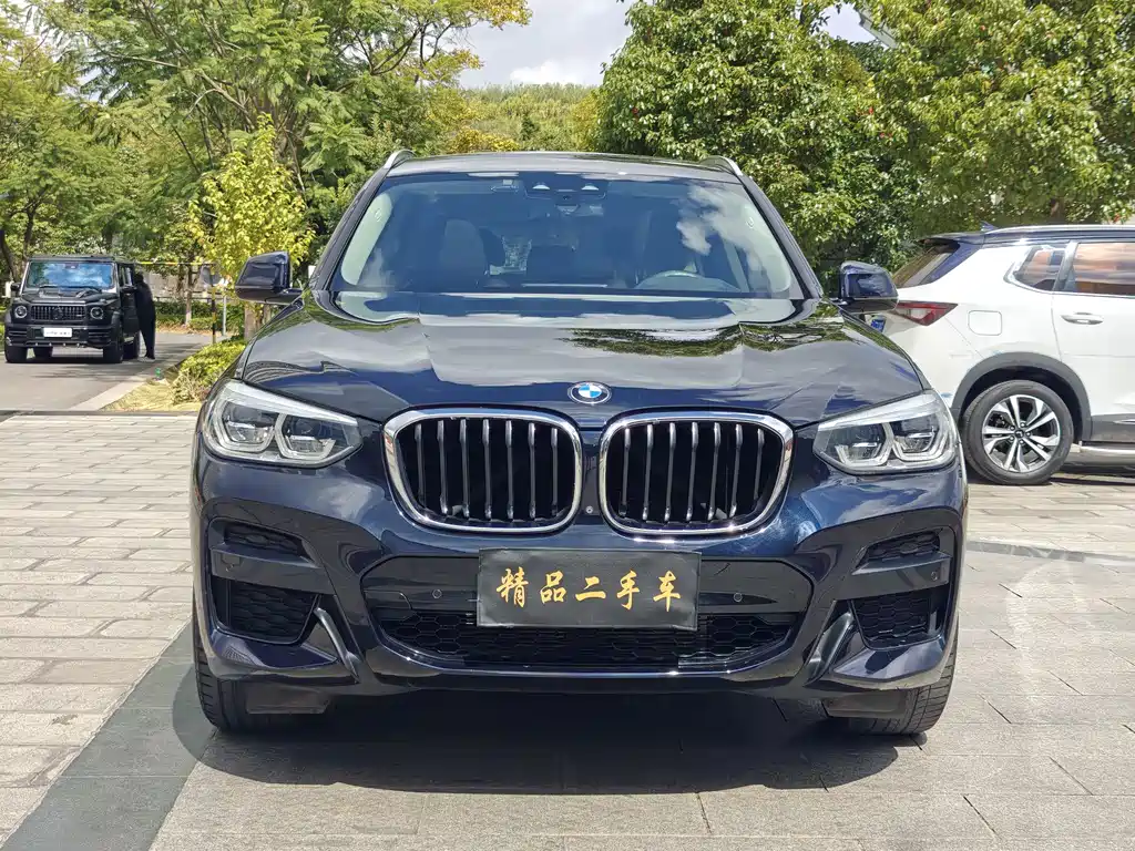 BMW X3 — миниатюра 2