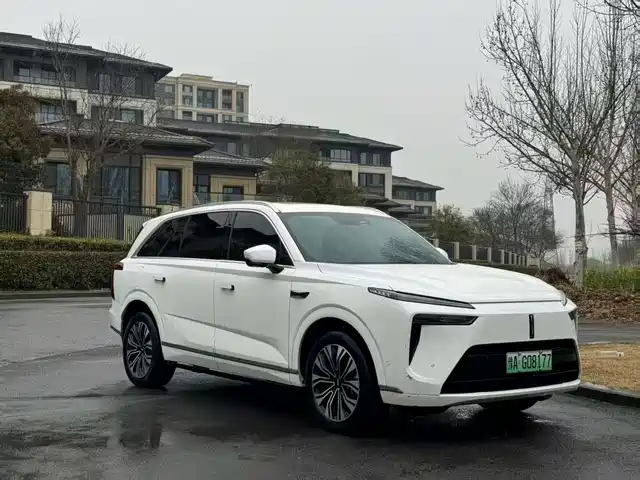 WEI PAI WEI BRAND BLUE MOUNTAIN 2023