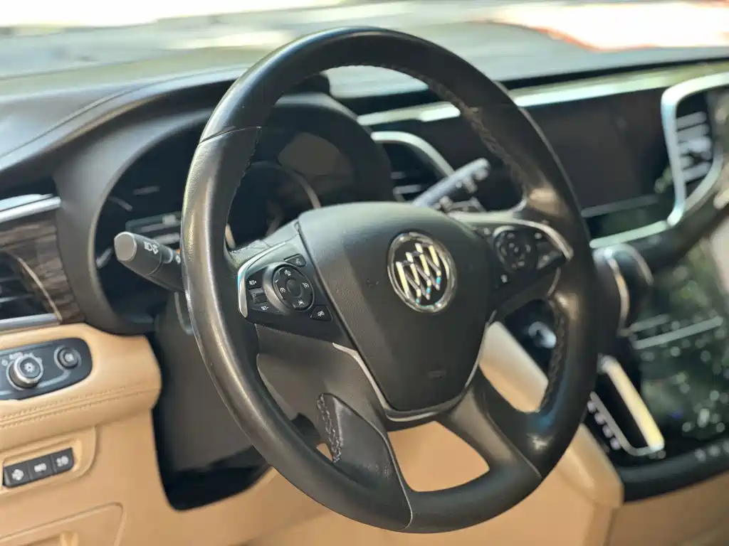 Buick GL8 — миниатюра 3