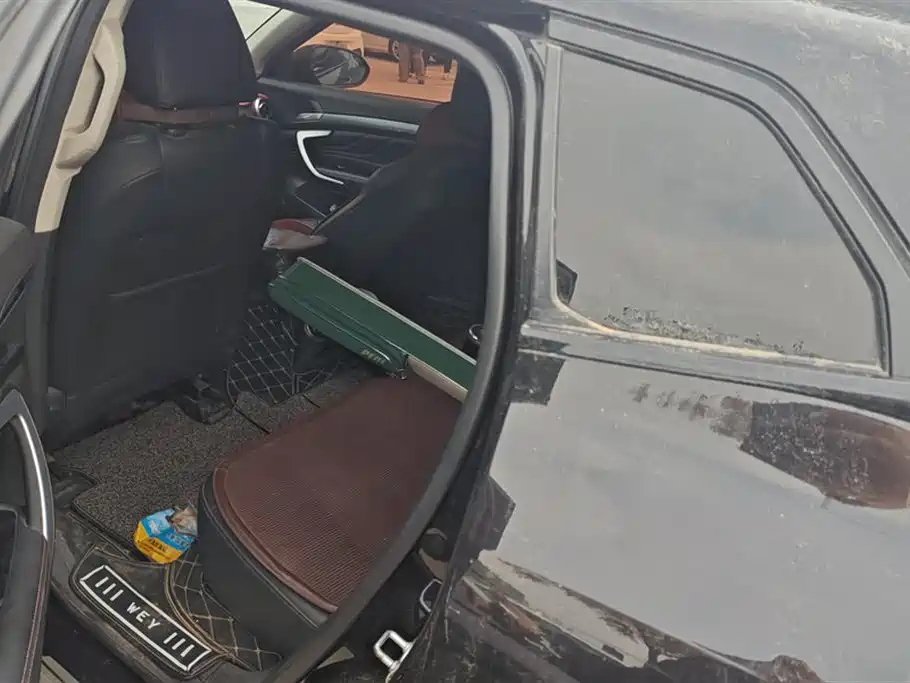 WEI PAI WEI BRAND VV7