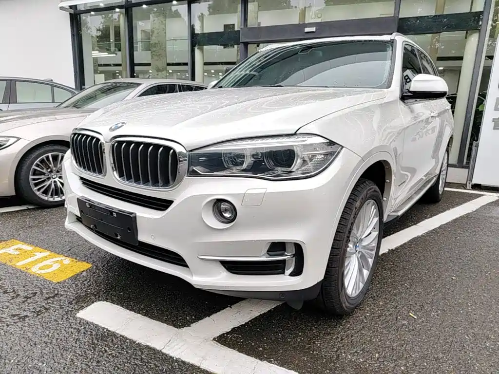 BMW X5 (Import) — миниатюра 2
