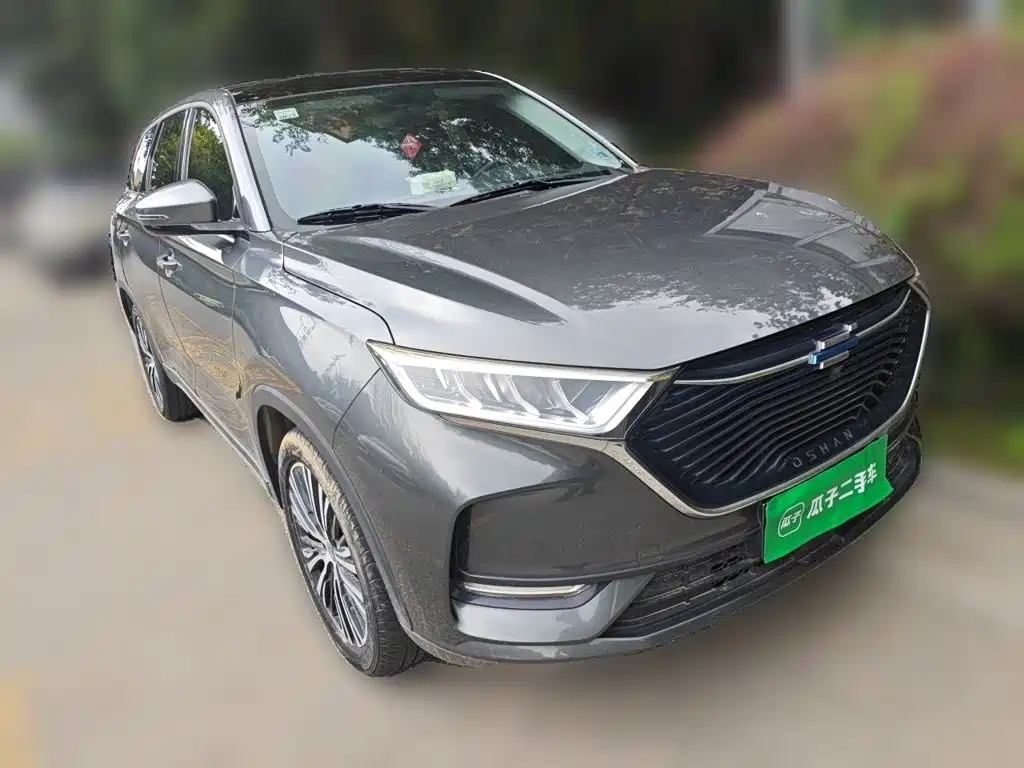 Oshan Oushang X7 — миниатюра 24