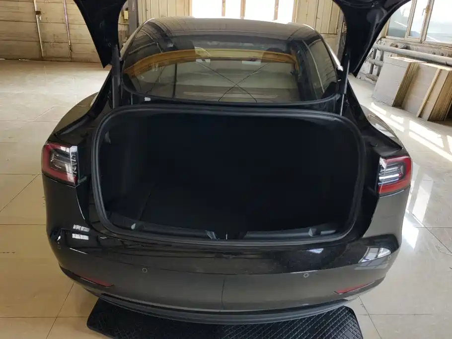 Tesla Model 3 — миниатюра 4