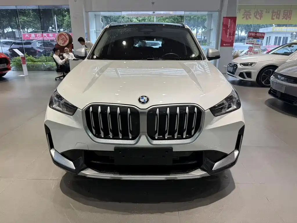 BMW X1 — миниатюра 2