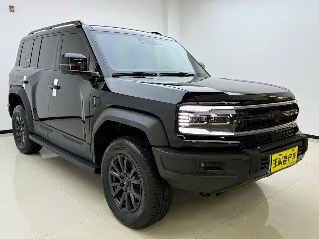 FANG CHENG BAO LEOPARD 5