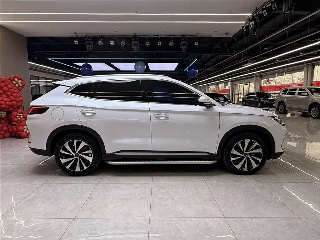 BYD SONGJIANG NEW ENERGY