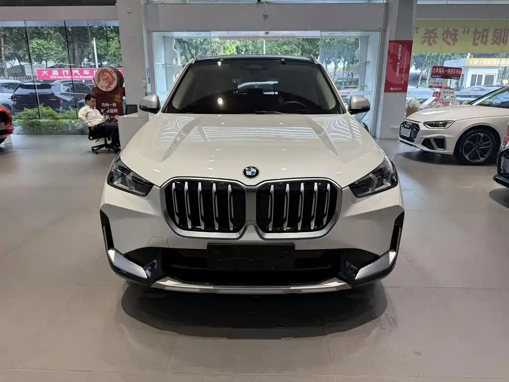 BMW X1 — миниатюра 2