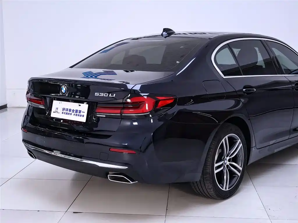BMW 5 Series 5 2022 530Li Lead Luxury