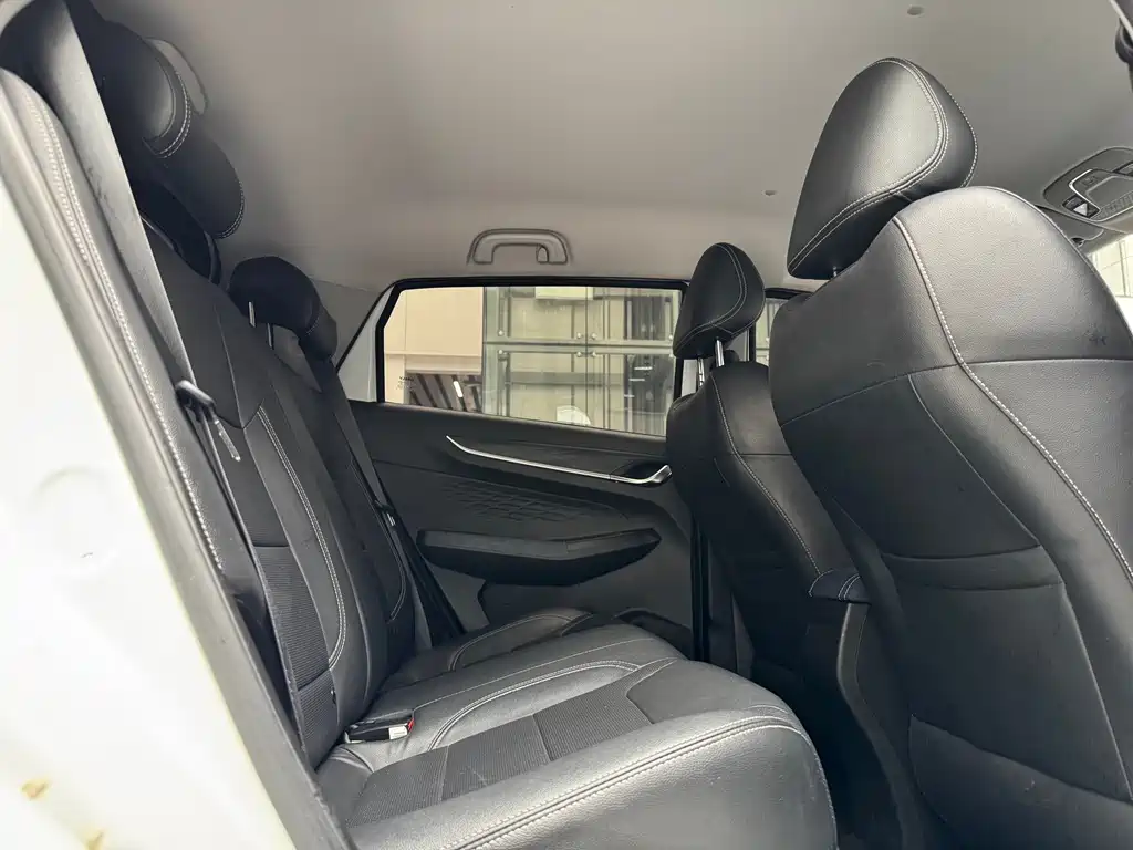 GEELY GEOMETRY EX3 KUNG FU COW