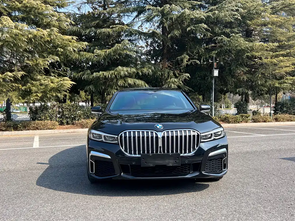 BMW 7 Series 7 2019 730Li M Sport