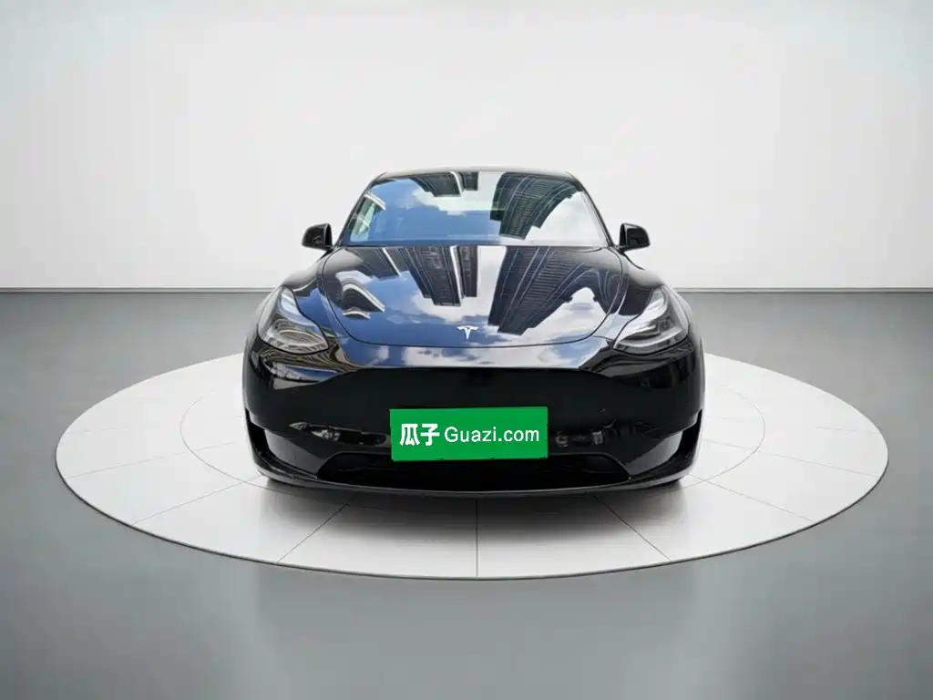 Tesla Model Y — миниатюра 2