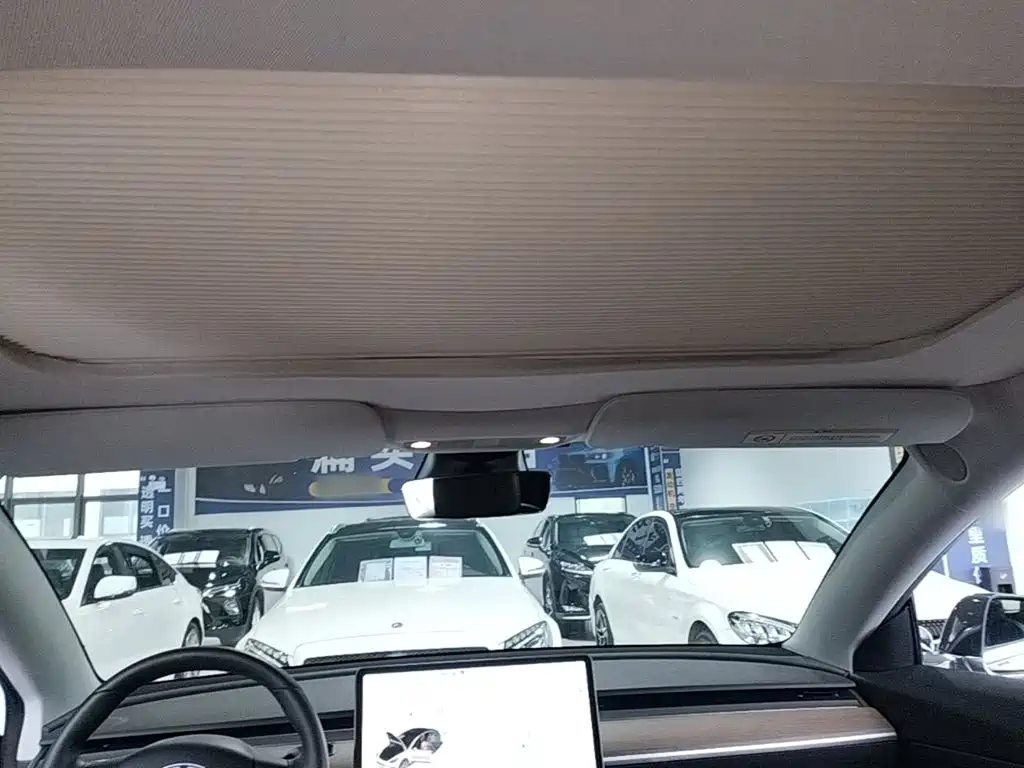 Tesla Model 3 — миниатюра 18
