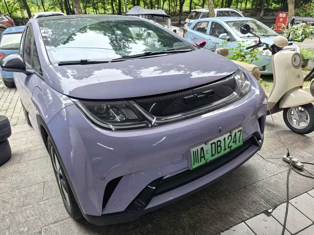 BYD Dolphin — миниатюра 8