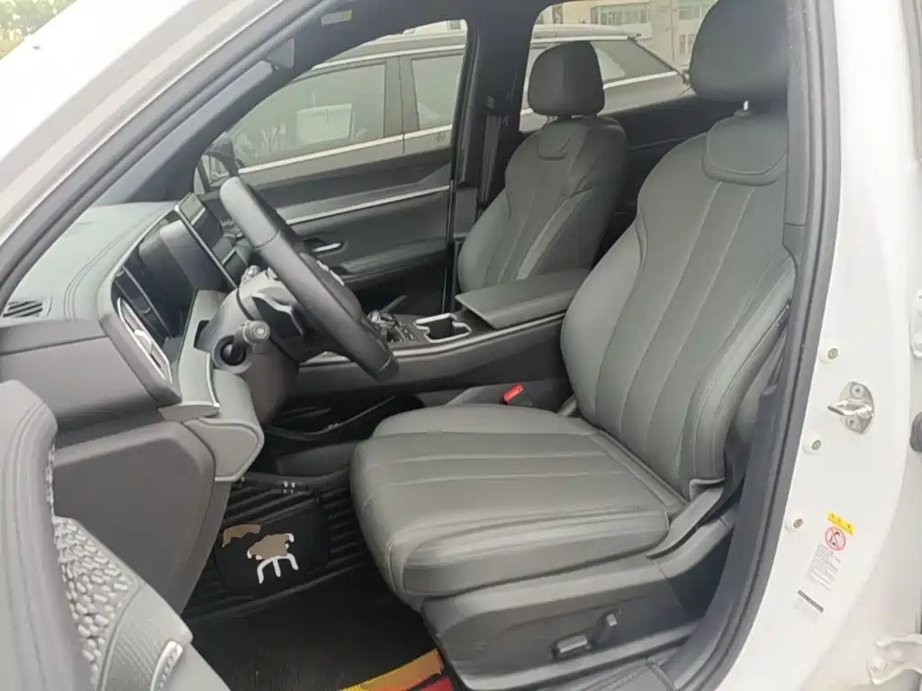 BYD Pro New Energy — миниатюра 15