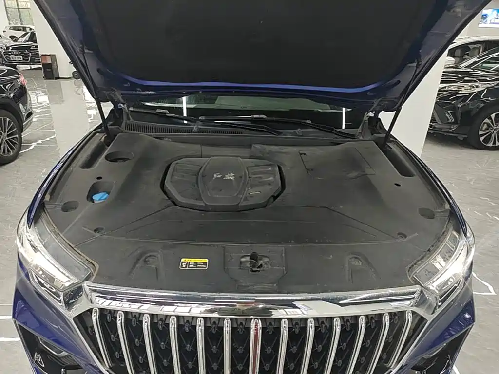 Hongqi Hongqi HS5 — миниатюра 20