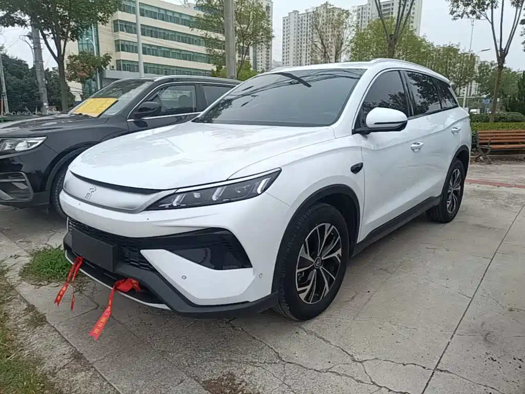 BYD Pro New Energy — миниатюра 2