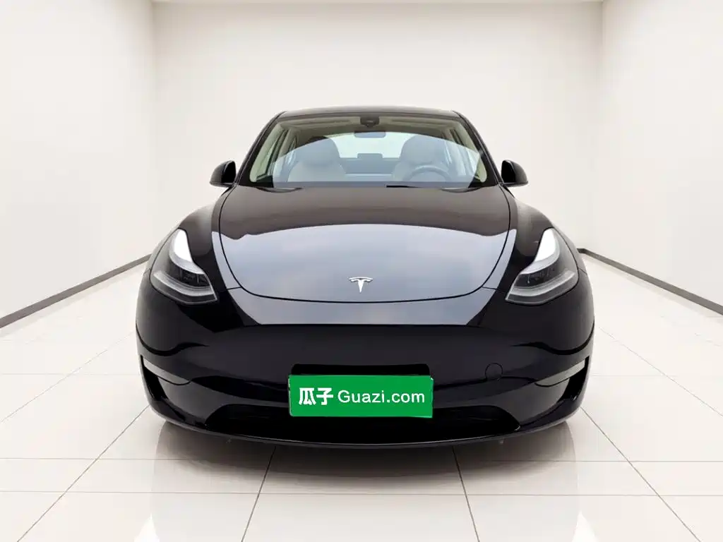 Tesla Model Y — миниатюра 2