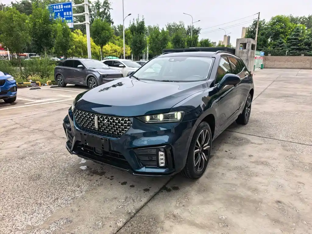 Wey Wey VV7
