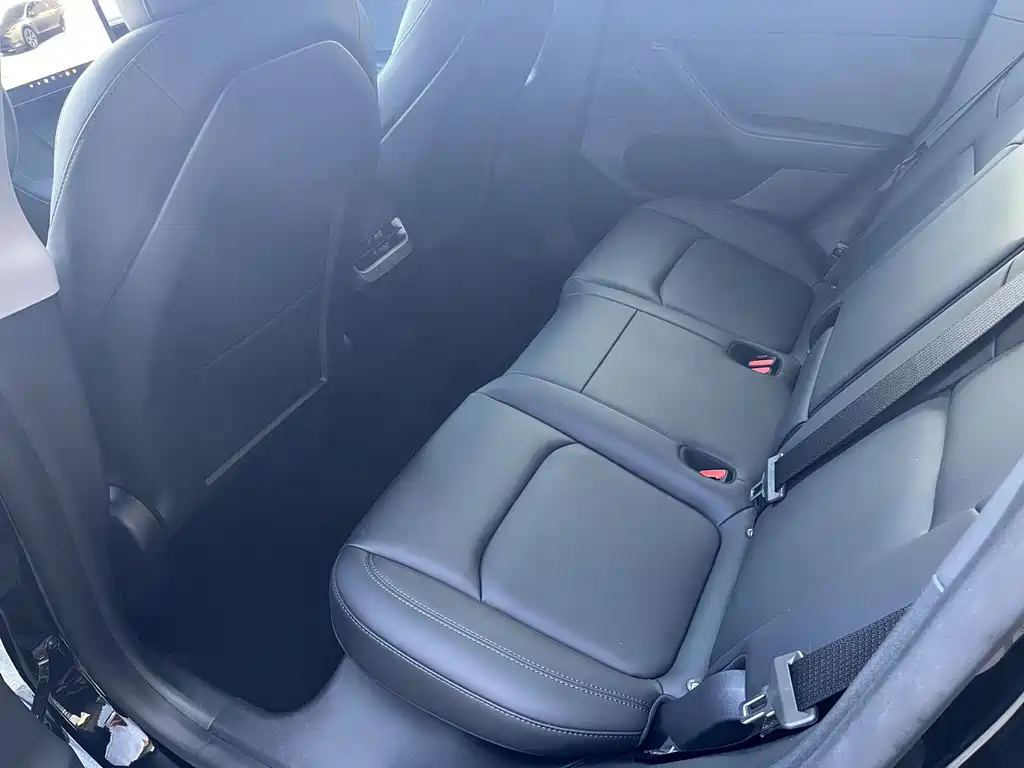 Tesla Model Y — миниатюра 7