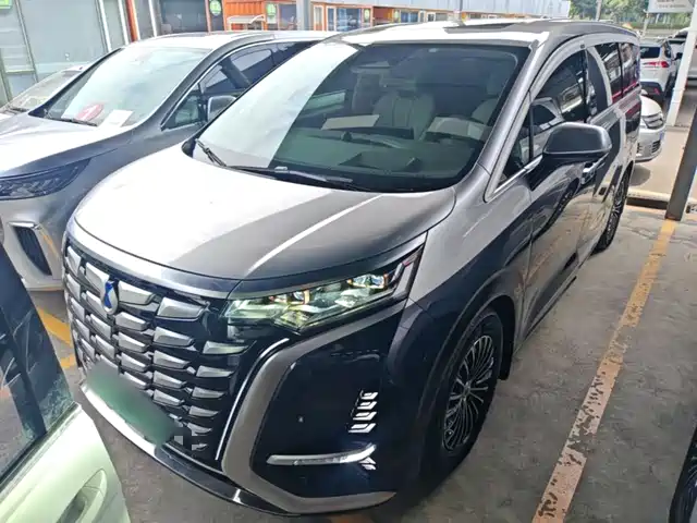 2023 Denza D9