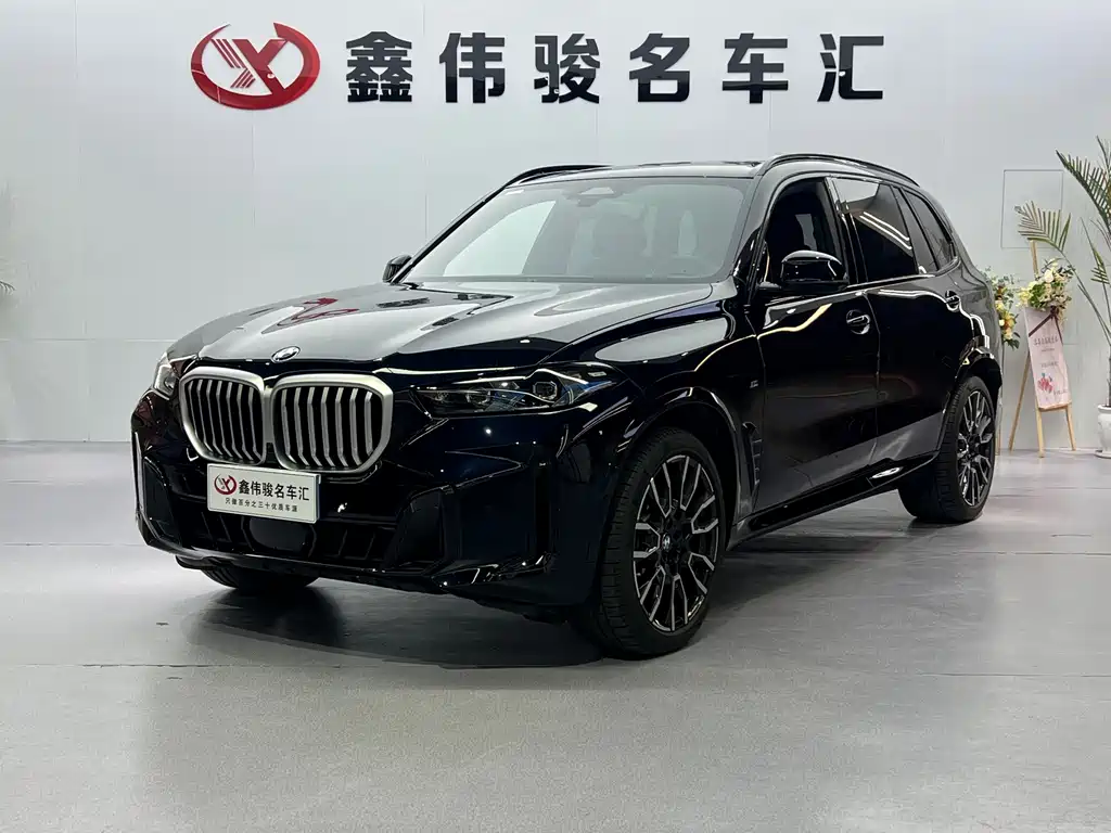 BMW X5 — миниатюра 17