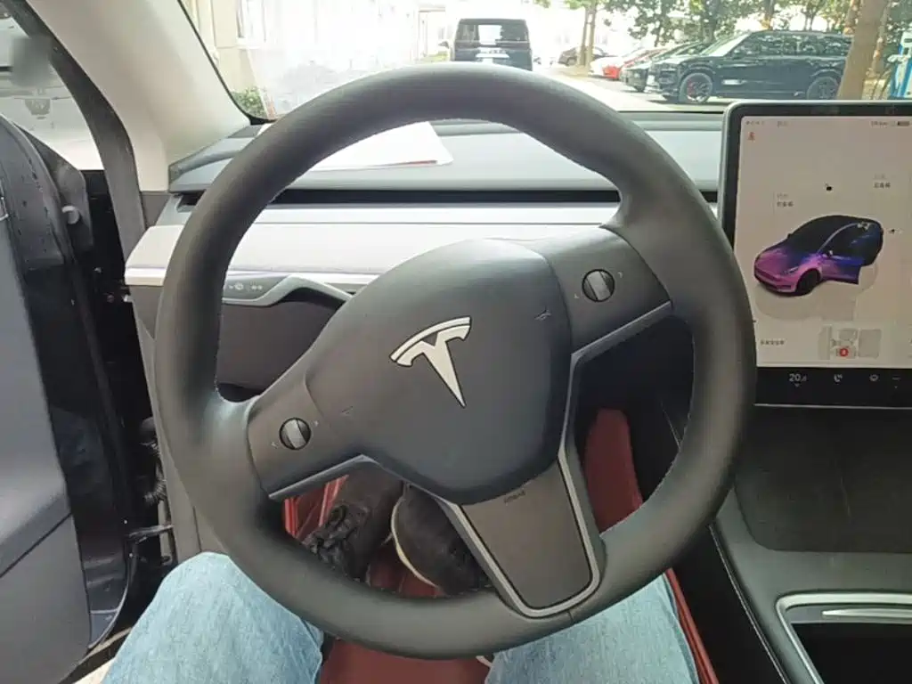 Tesla Model Y — миниатюра 11