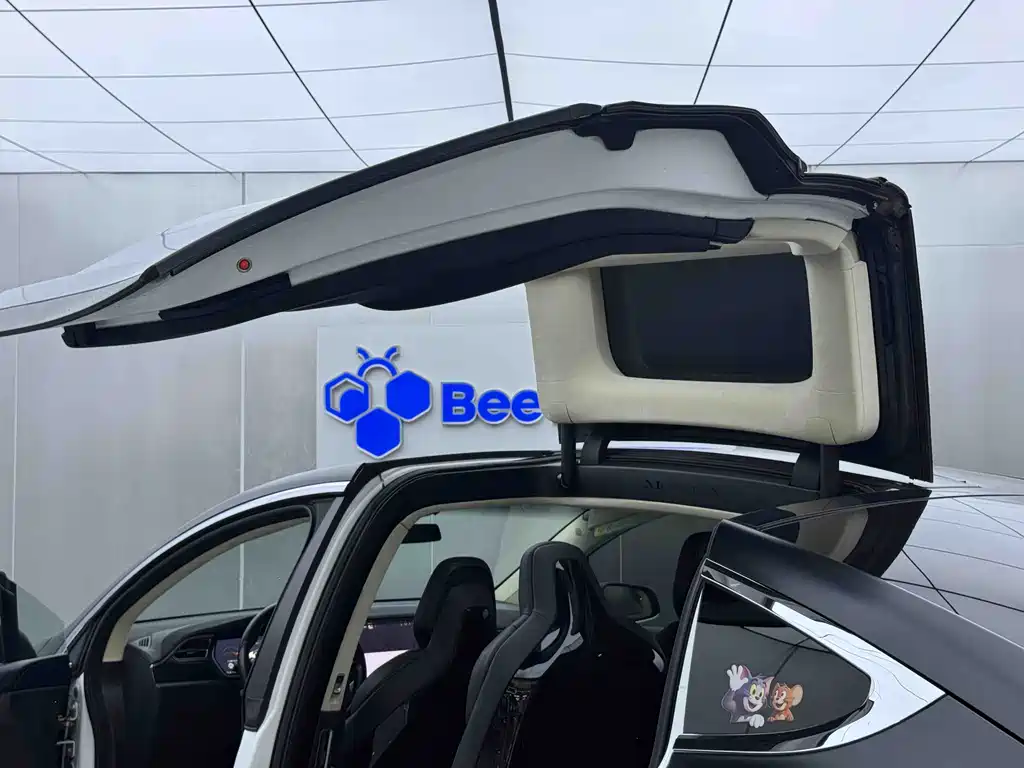 Tesla Model X — фотографии объявления, Фото 19