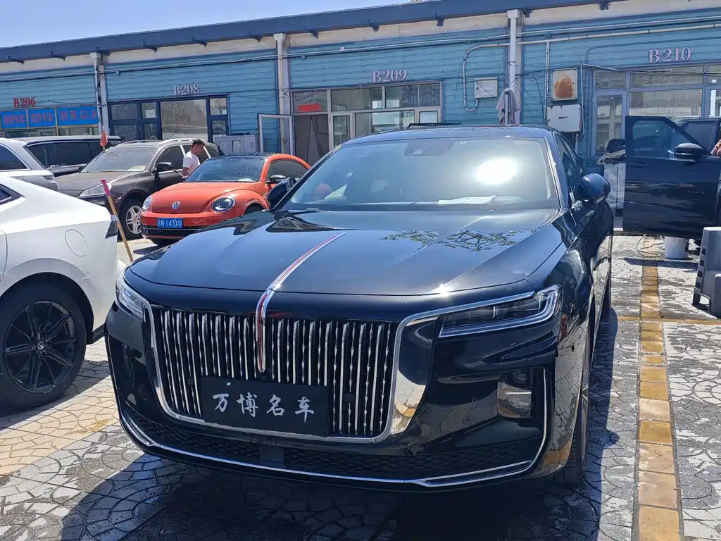 Hongqi Hongqi H9 2021